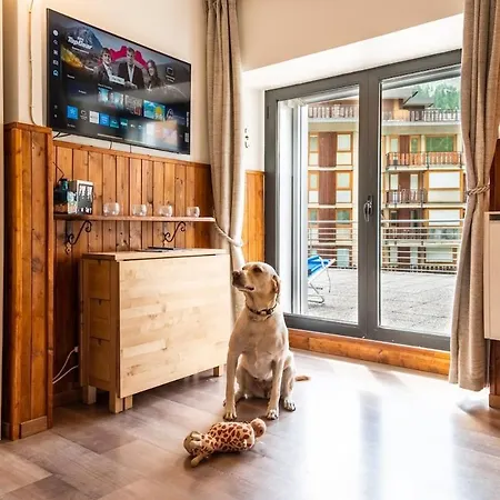 Mcx Vacation - Belle Vue Les Grandes Murailles, Pet Friendly Just 300 Meters From The Lifts! *