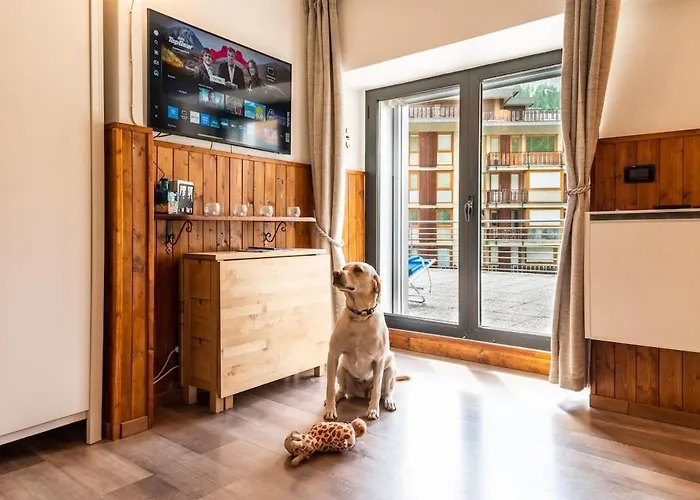 Mcx Vacation - Belle Vue Les Grandes Murailles, Pet Friendly Just 300 Meters From The Lifts! *